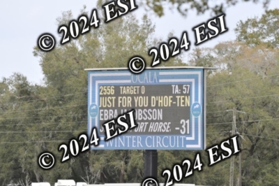 251DAV_2710