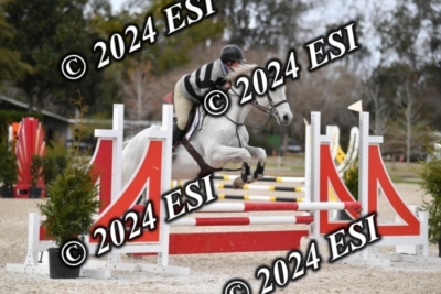 205CAH_4619