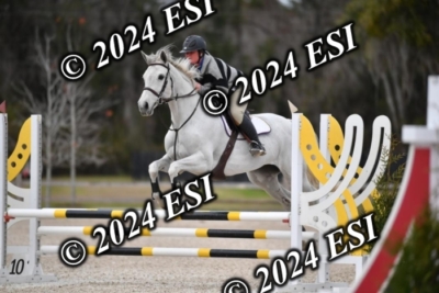 205CAH_4625