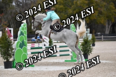 205CAH_4634
