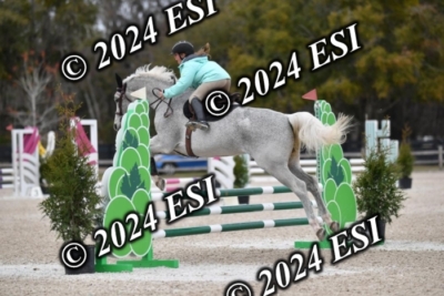 205CAH_4635
