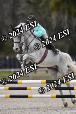 205CAH_4636
