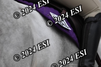 205CAH_4639
