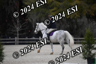 205CAH_4641