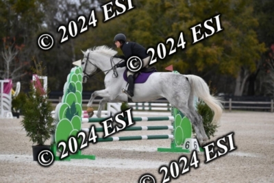 205CAH_4647