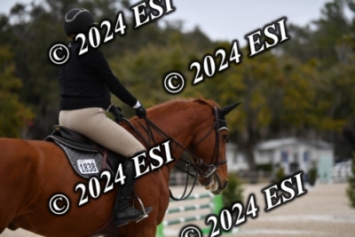 205CAH_4650