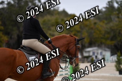 205CAH_4651