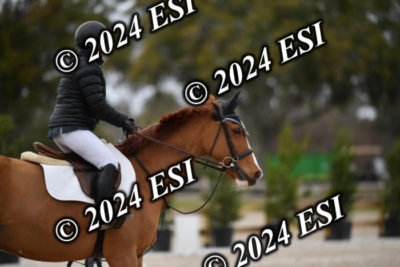 205CAH_4662