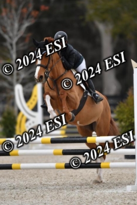 205CAH_4668