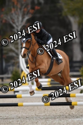 205CAH_4669
