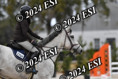 205CAH_4673