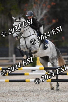205CAH_4678