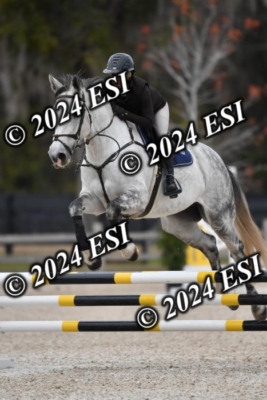 205CAH_4679