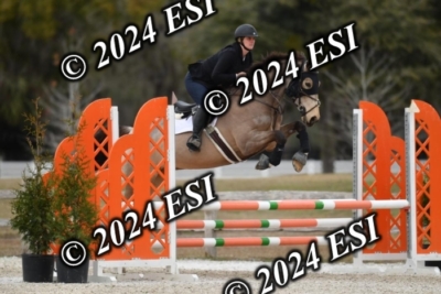 205CAH_4685