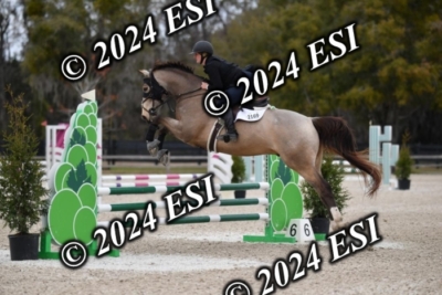 205CAH_4687