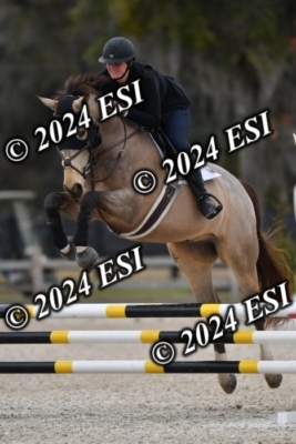 205CAH_4689