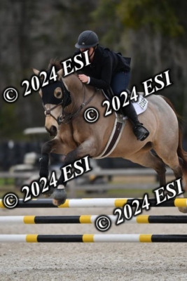 205CAH_4690