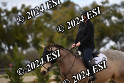 205CAH_4695