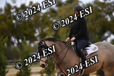 205CAH_4696