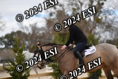 205CAH_4698