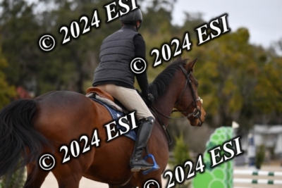 205CAH_4700