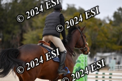 205CAH_4701