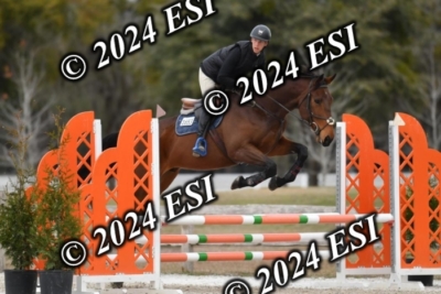 205CAH_4704