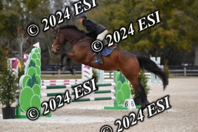 205CAH_4706