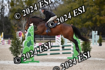 205CAH_4707