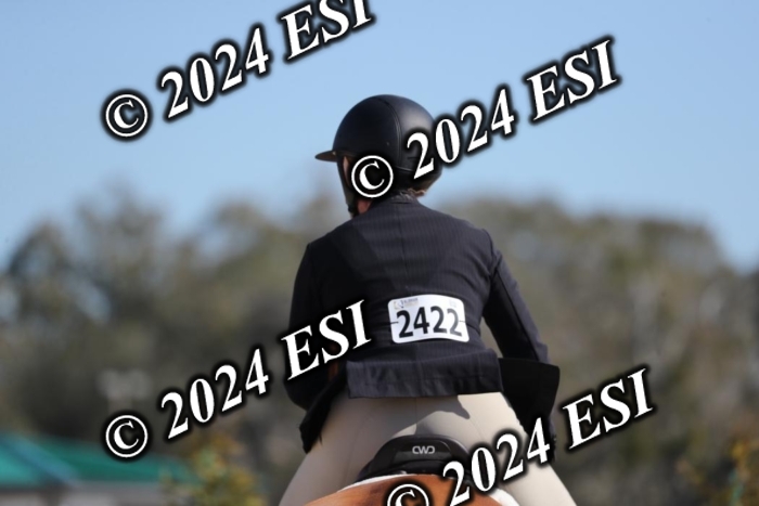 385RWCL3427