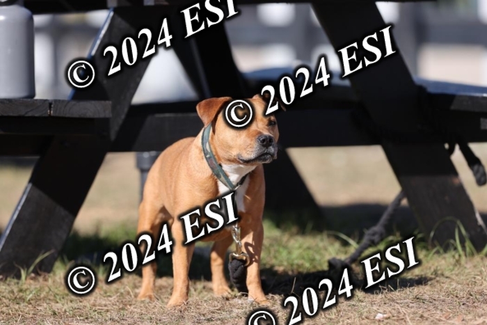 473DI2_1673
