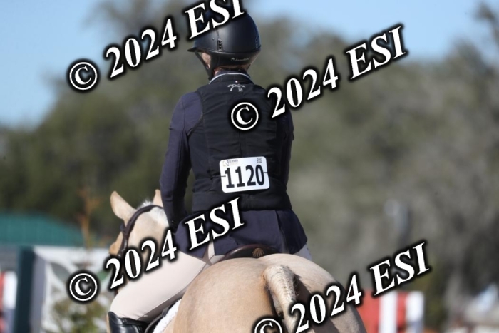 195RWCL4117