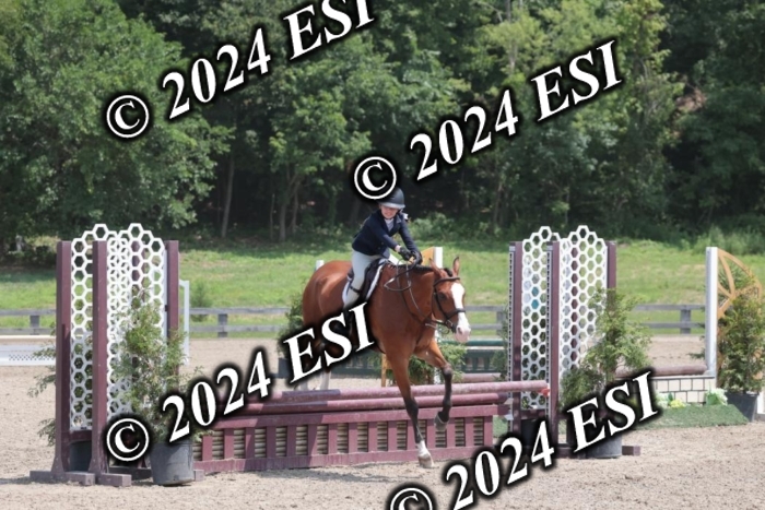 628SC1_7603