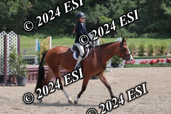 628SC1_7613