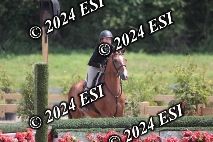 628SC1_7629