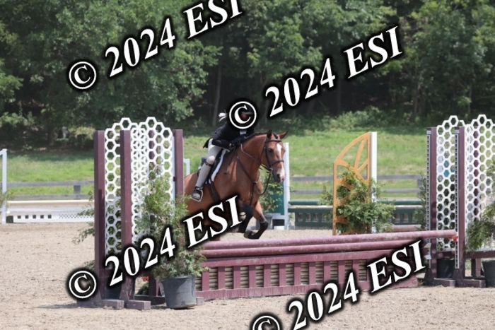 628SC1_7638