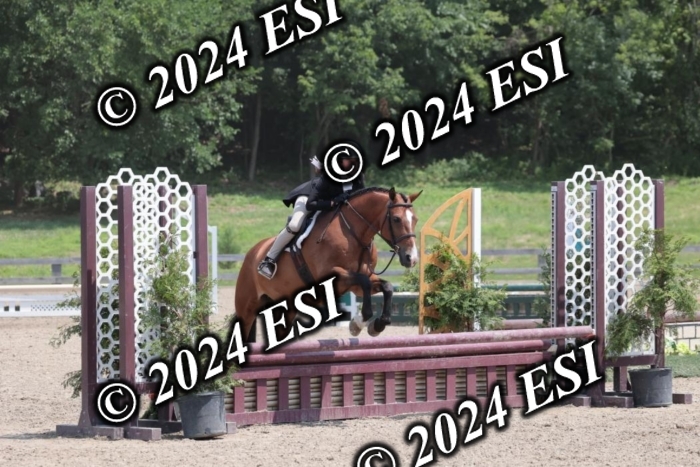 628SC1_7641