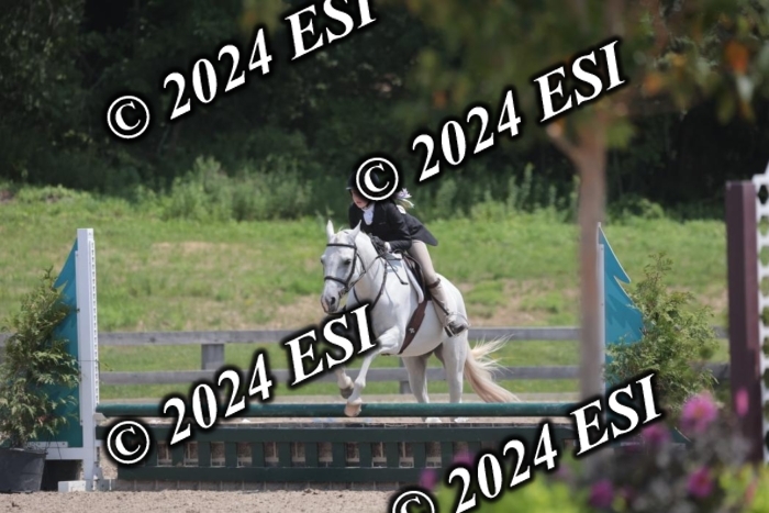 628SC1_7658