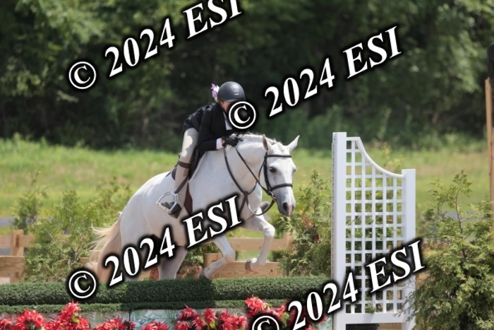 628SC1_7664