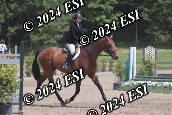 628SC1_7714