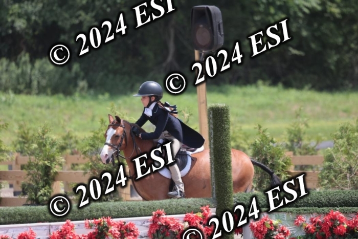 628SC1_7729