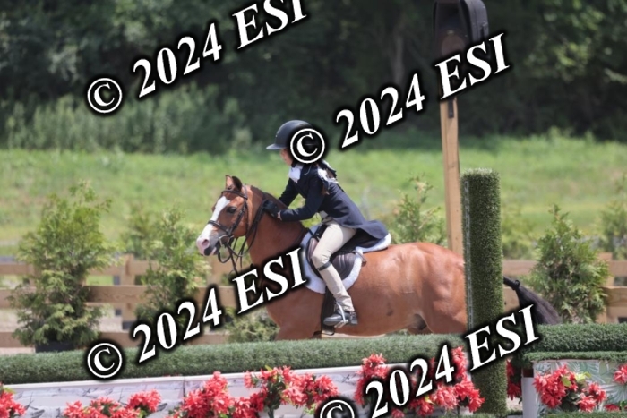 628SC1_7733