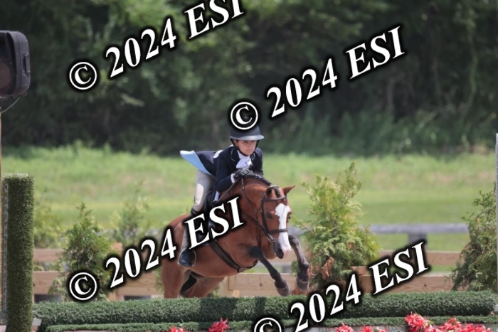 628SC1_7738