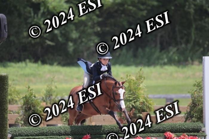 628SC1_7739