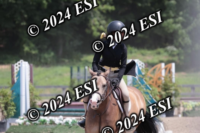 628SC1_7775