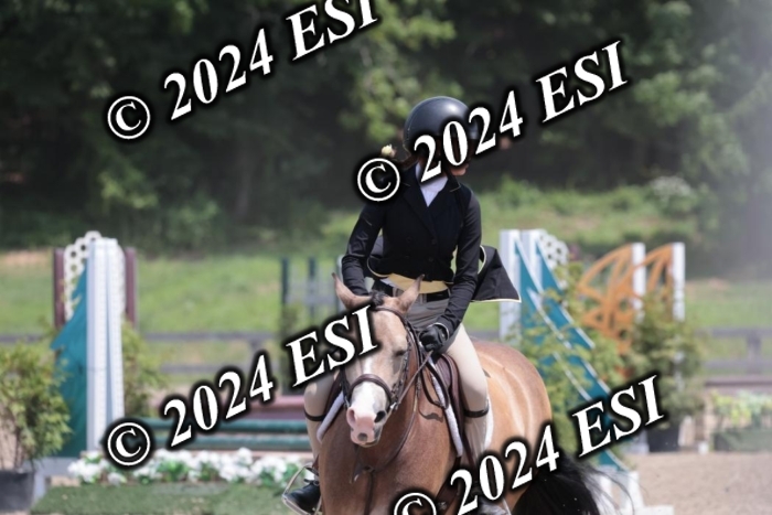 628SC1_7776