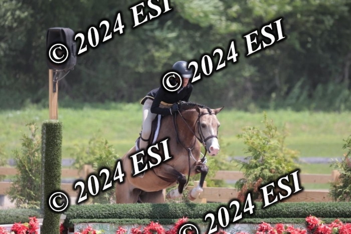 628SC1_7778