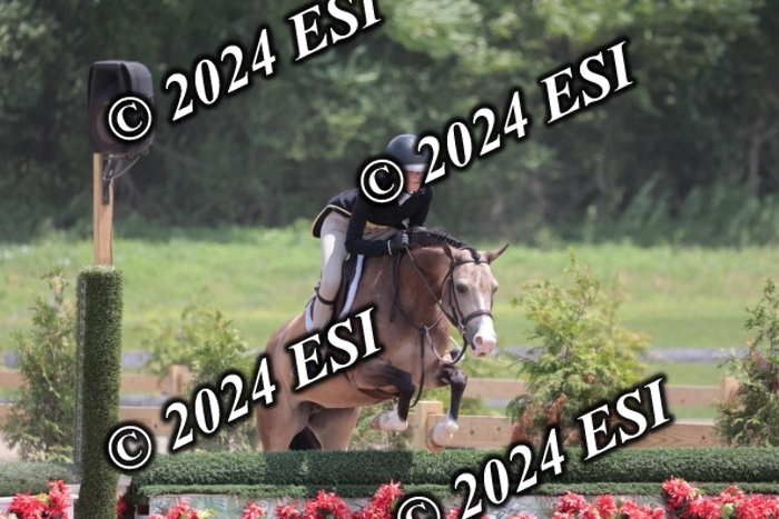 628SC1_7779