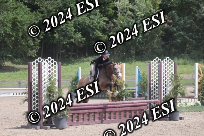 628SC1_7784