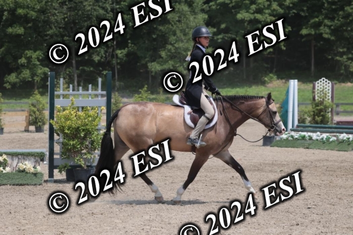 628SC1_7799